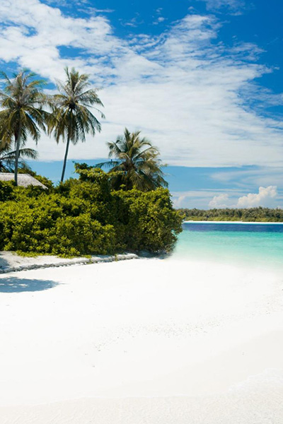 Maldives destination wedding by Dreamz Wedding Planner	